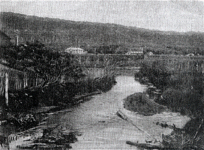 Porirua Stream.